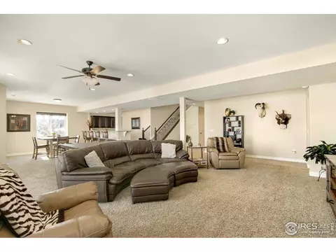 6166 Chesney Ct, Windsor, CO 80550 photo 28