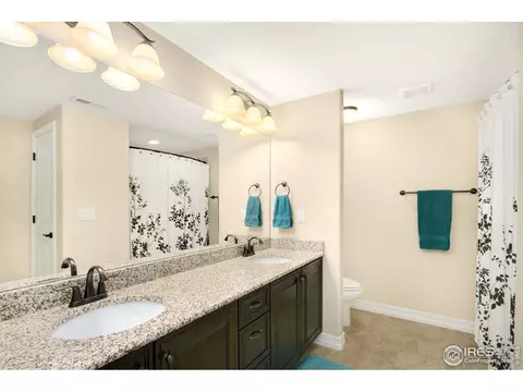 6166 Chesney Ct, Windsor, CO 80550 photo 31