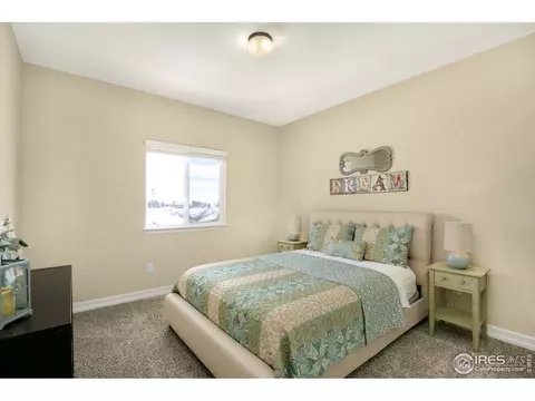 6166 Chesney Ct, Windsor, CO 80550 photo 13