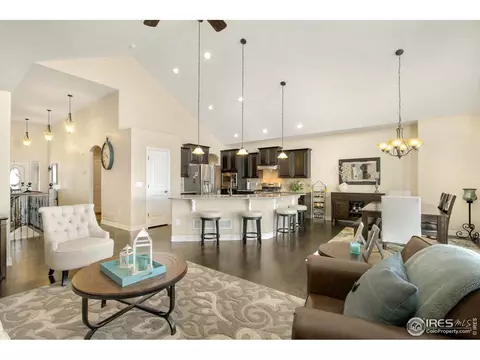 6166 Chesney Ct, Windsor, CO 80550 photo 7