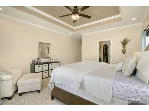 6166 Chesney Ct, Windsor, CO 80550 photo 16