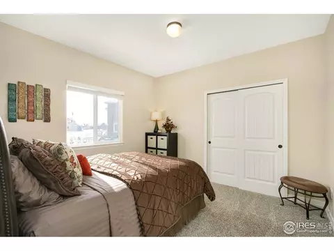 6166 Chesney Ct, Windsor, CO 80550 photo 12