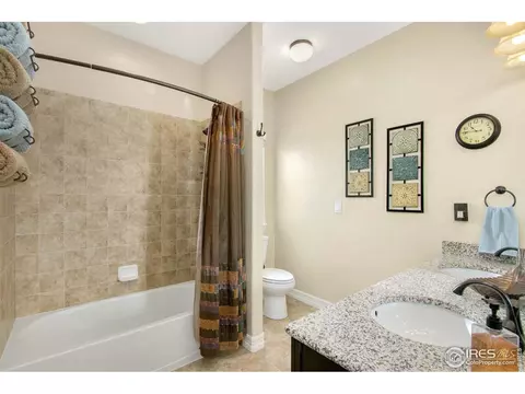 6166 Chesney Ct, Windsor, CO 80550 photo 14