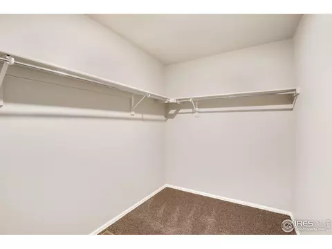 875 Charlton Dr, Windsor, CO 80550 photo 22