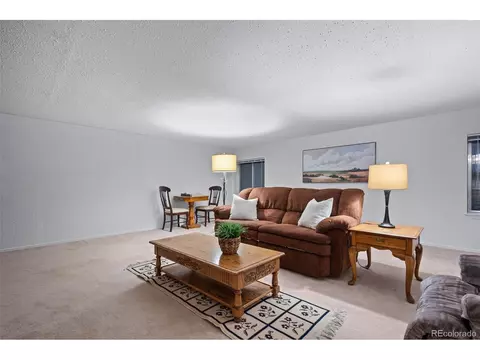 22276 E Oberlin Pl, Aurora, CO 80018 photo 34