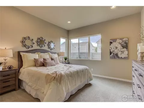 939 Pitch Fork Dr, Windsor, CO 80550 photo 13