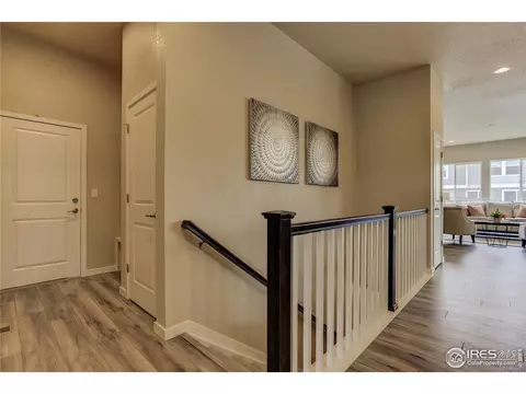 939 Pitch Fork Dr, Windsor, CO 80550 photo 12