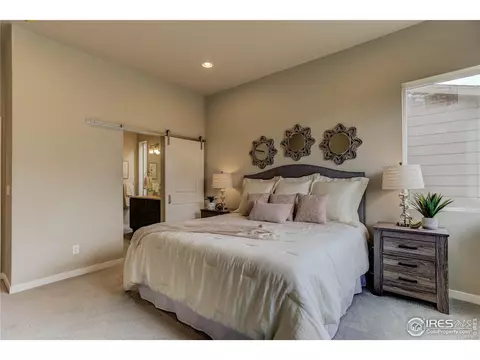 939 Pitch Fork Dr, Windsor, CO 80550 photo 15