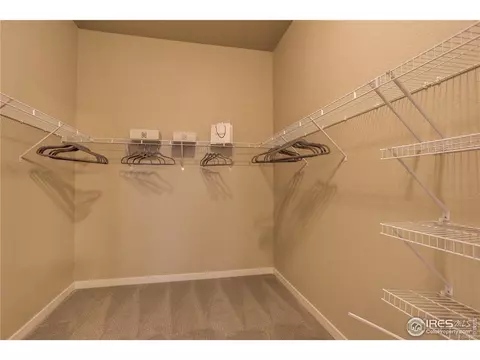 939 Pitch Fork Dr, Windsor, CO 80550 photo 18