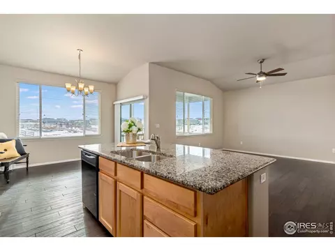 783 Corn Stalk Ct, Windsor, CO 80550 photo 11