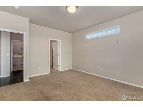 783 Corn Stalk Ct, Windsor, CO 80550 photo 25