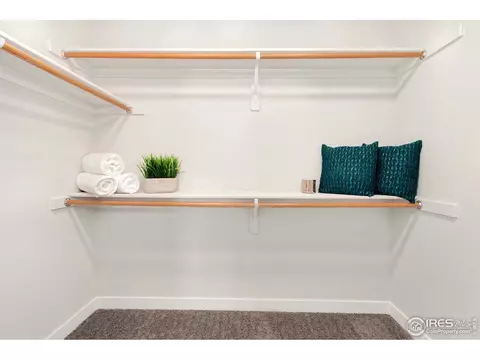310 Ptarmigan St, Severance, CO 80550 photo 11
