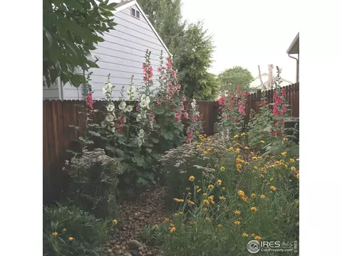 5455 Fox Run Blvd, Longmont, CO 80504 photo 38