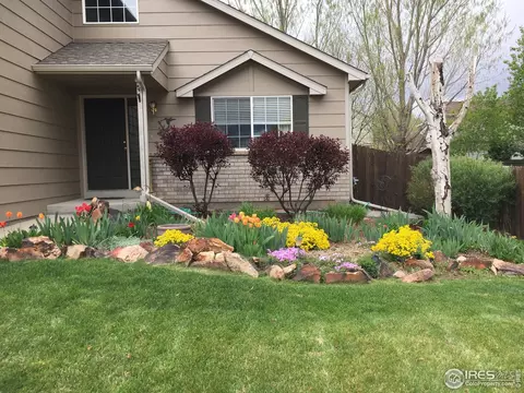 5455 Fox Run Blvd, Longmont, CO 80504 photo 36