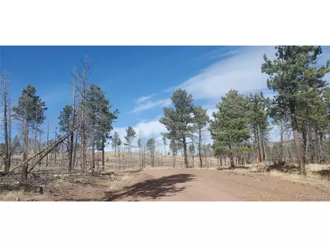 585 Leslie Loop, Fort Garland, CO 81133