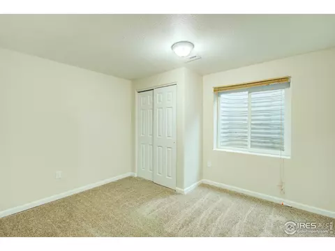 609 Kenosha Ct, Windsor, CO 80550 photo 18
