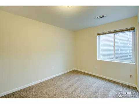 609 Kenosha Ct, Windsor, CO 80550 photo 19