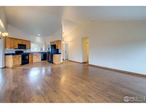 609 Kenosha Ct, Windsor, CO 80550 photo 4