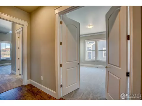 6308 Sanctuary Dr, Windsor, CO 80550 photo 4