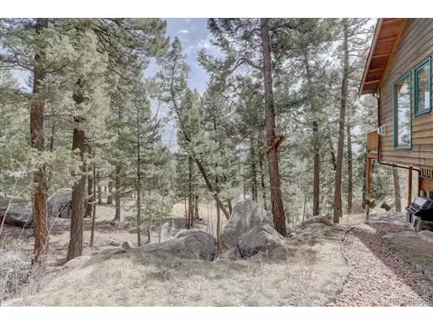 30211 Kings Vly, Conifer, CO 80433 photo 29