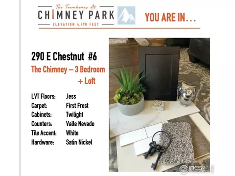 290 E Chestnut St #6, Windsor, CO 80550 photo 4