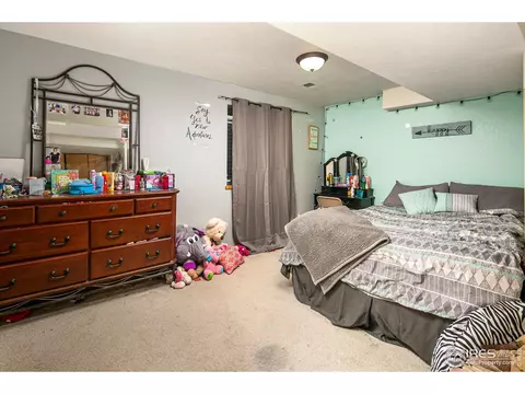 3314 Carson Ave, Evans, CO 80620 photo 18