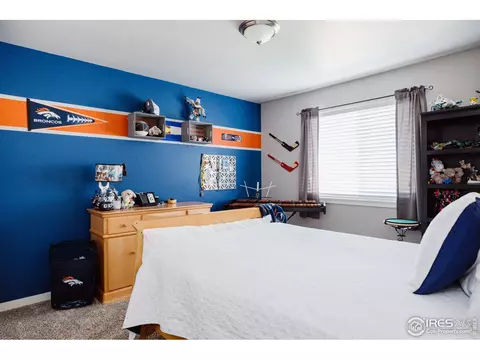 1618 Glacier Ave, Berthoud, CO 80513 photo 22