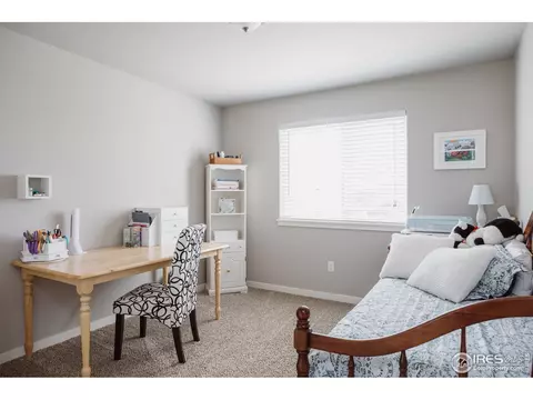 1618 Glacier Ave, Berthoud, CO 80513 photo 24