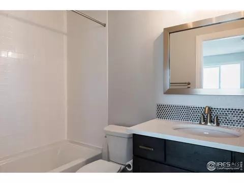954 Pitch Fork Dr, Windsor, CO 80550 photo 33