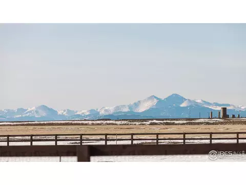 954 Pitch Fork Dr, Windsor, CO 80550 photo 38