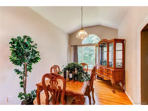 4335 Biscay St, Denver, CO 80249 photo 13