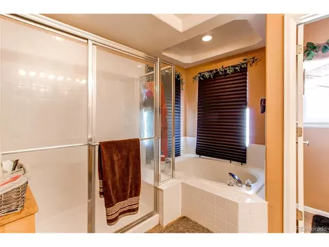 4335 Biscay St, Denver, CO 80249 photo 30