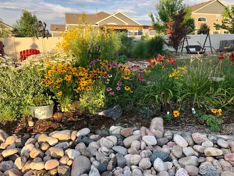 5208 Kempton Dr, Windsor, CO 80550 photo 20