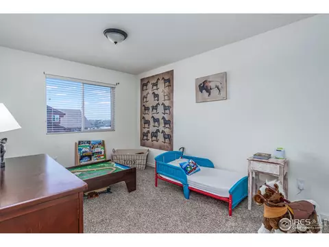 93 Evans St, Windsor, CO 80550 photo 26