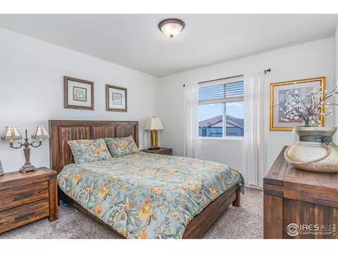 93 Evans St, Windsor, CO 80550 photo 19