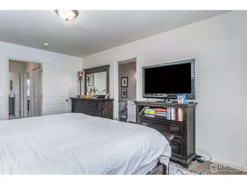 93 Evans St, Windsor, CO 80550 photo 17
