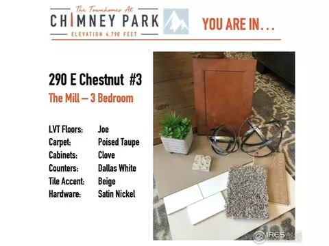 290 E Chestnut St #3, Windsor, CO 80550 photo 3