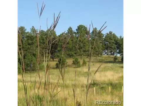 25050 E Phillips Dr, Aurora, CO 80016 photo 33