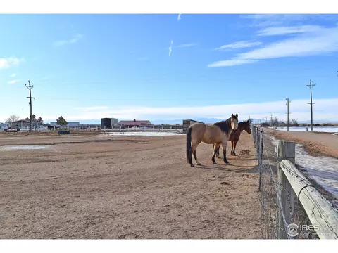 17486 County Road 84, Ault, CO 80610 photo 35