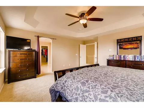 2137 Longfin Dr, Windsor, CO 80550 photo 10
