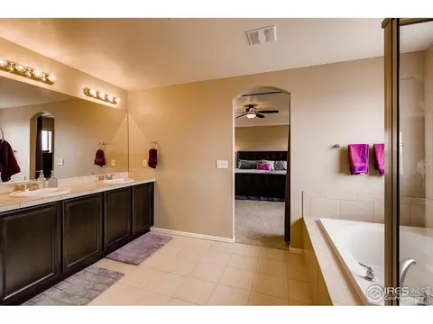 2137 Longfin Dr, Windsor, CO 80550 photo 8