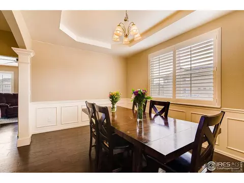 2137 Longfin Dr, Windsor, CO 80550 photo 2