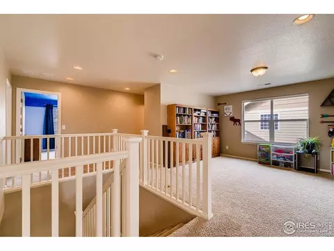 2137 Longfin Dr, Windsor, CO 80550 photo 7