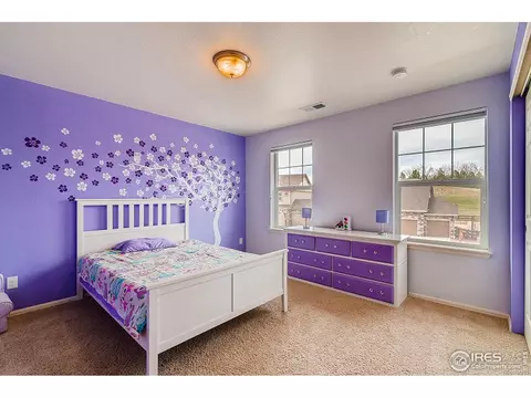 2137 Longfin Dr, Windsor, CO 80550 photo 14
