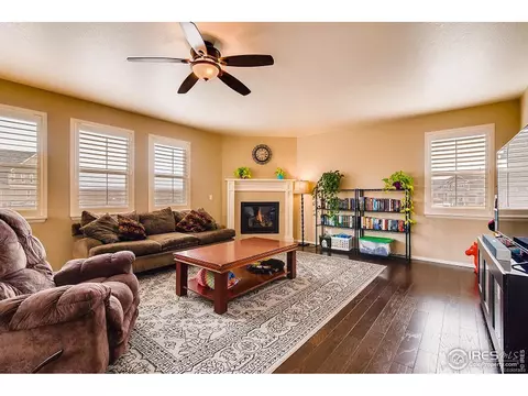 2137 Longfin Dr, Windsor, CO 80550 photo 4