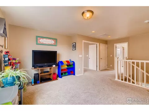 2137 Longfin Dr, Windsor, CO 80550 photo 15