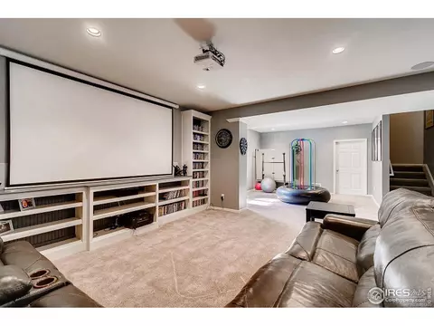 2137 Longfin Dr, Windsor, CO 80550 photo 19