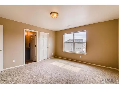 2137 Longfin Dr, Windsor, CO 80550 photo 13