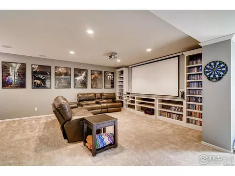 2137 Longfin Dr, Windsor, CO 80550 photo 20