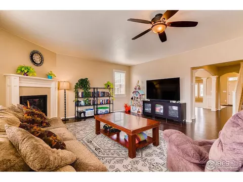 2137 Longfin Dr, Windsor, CO 80550 photo 3